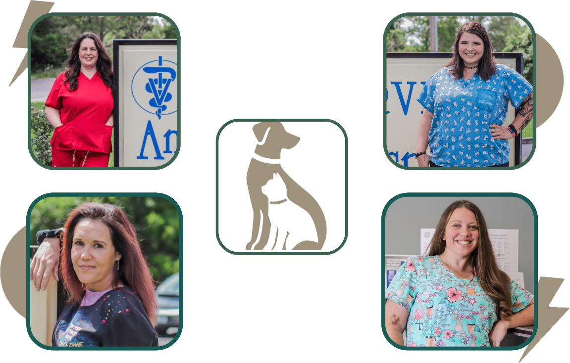 Our Veterinary Team